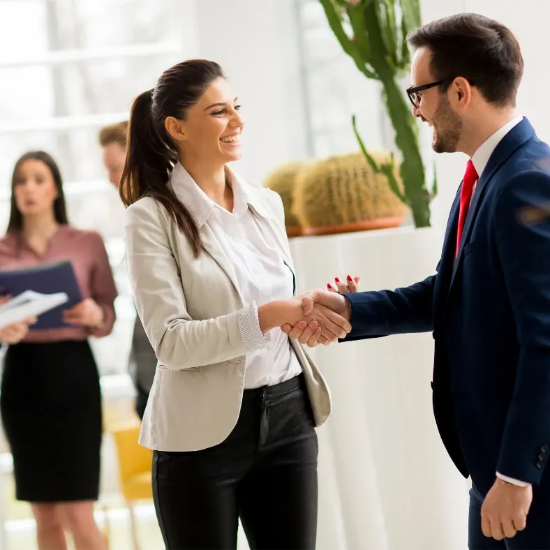 Two professionals shaking hands